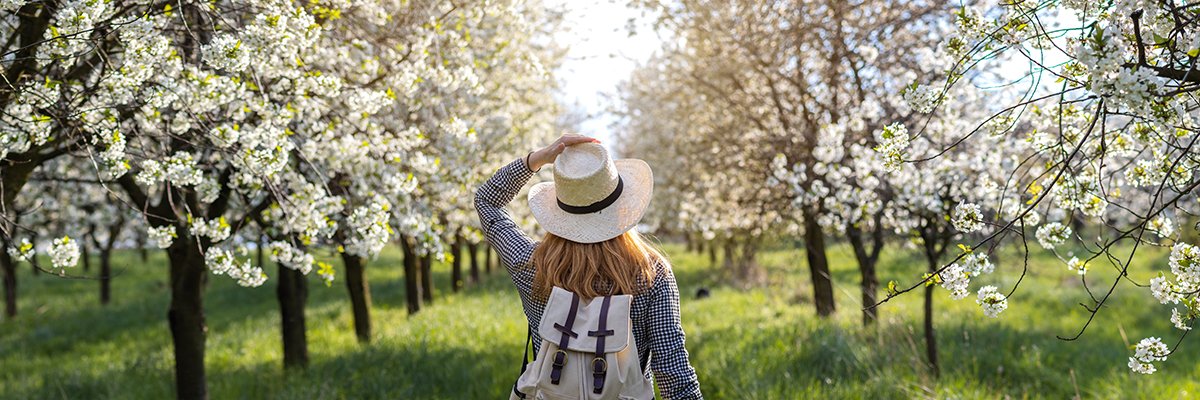 University of Reading tracks fruit tree flowering as spring breaks, with Oracle - Vimarsana News